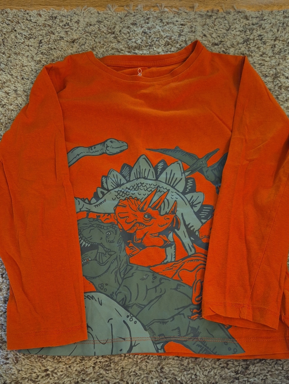 Orange Long-Sleeve Dino Graphic Tee